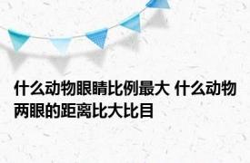 什么动物眼睛比例最大 什么动物两眼的距离比大比目