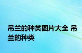 吊兰的种类图片大全 吊兰的种类 