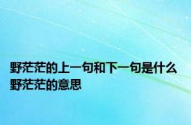 野茫茫的上一句和下一句是什么 野茫茫的意思