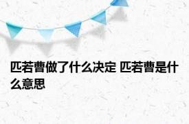 匹若曹做了什么决定 匹若曹是什么意思