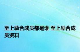 至上励合成员都是谁 至上励合成员资料 