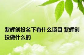 紫辉创投名下有什么项目 紫辉创投做什么的