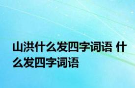 山洪什么发四字词语 什么发四字词语