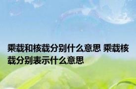 乘载和核载分别什么意思 乘载核载分别表示什么意思