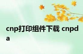 cnp打印组件下载 cnpda 