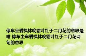 停车坐爱枫林晚霜叶红于二月花的意思是啥 停车坐车爱枫林晚霜叶红于二月花诗句的意思