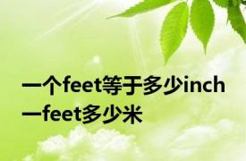 一个feet等于多少inch 一feet多少米