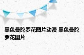 黑色曼陀罗花图片动漫 黑色曼陀罗花图片 