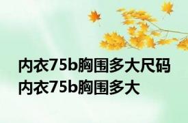 内衣75b胸围多大尺码 内衣75b胸围多大