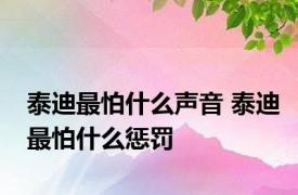 泰迪最怕什么声音 泰迪最怕什么惩罚