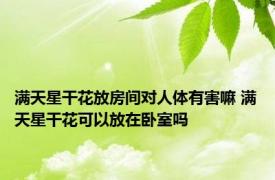 满天星干花放房间对人体有害嘛 满天星干花可以放在卧室吗