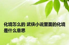 化境怎么的 武侠小说里面的化境是什么意思