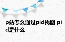 p站怎么通过pid找图 pid是什么