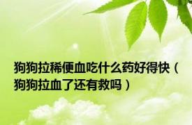 狗狗拉稀便血吃什么药好得快（狗狗拉血了还有救吗）