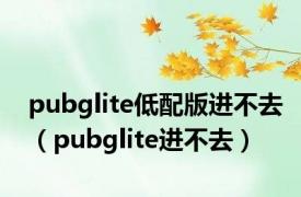 pubglite低配版进不去（pubglite进不去）