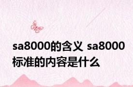 sa8000的含义 sa8000标准的内容是什么