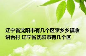 辽宁省沈阳市有几个区李乡乡镇收饼台村 辽宁省沈阳市有几个区