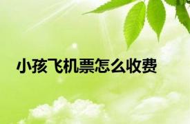 小孩飞机票怎么收费