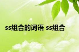 ss组合的词语 ss组合 