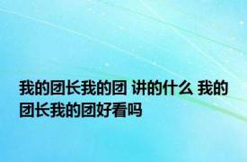 我的团长我的团 讲的什么 我的团长我的团好看吗 