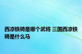 西凉铁骑是哪个武将 三国西凉铁骑是什么马