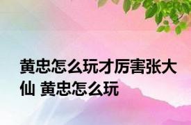 黄忠怎么玩才厉害张大仙 黄忠怎么玩