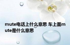 mute电话上什么意思 车上面mute是什么意思