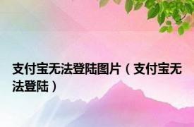 支付宝无法登陆图片（支付宝无法登陆）