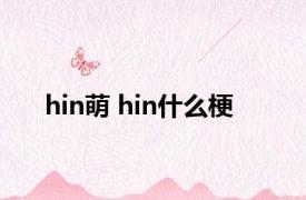 hin萌 hin什么梗