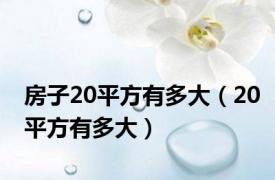 房子20平方有多大（20平方有多大）