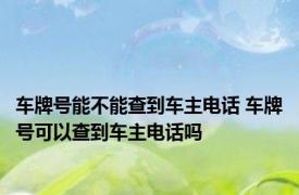 车牌号能不能查到车主电话 车牌号可以查到车主电话吗