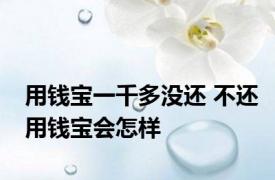 用钱宝一千多没还 不还用钱宝会怎样