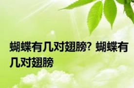 蝴蝶有几对翅膀? 蝴蝶有几对翅膀