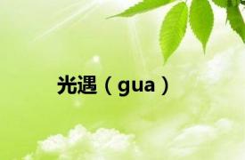 光遇（gua）