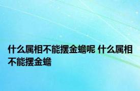 什么属相不能摆金蟾呢 什么属相不能摆金蟾