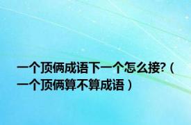 一个顶俩成语下一个怎么接?（一个顶俩算不算成语）