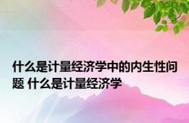 什么是计量经济学中的内生性问题 什么是计量经济学