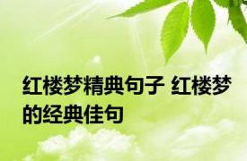 红楼梦精典句子 红楼梦的经典佳句