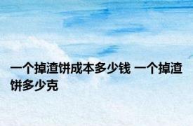 一个掉渣饼成本多少钱 一个掉渣饼多少克