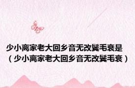 少小离家老大回乡音无改鬓毛衰是（少小离家老大回乡音无改鬓毛衰）