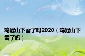 鸡冠山下雪了吗2020（鸡冠山下雪了吗）