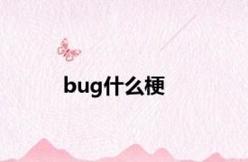 bug什么梗