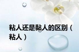 粘人还是黏人的区别（粘人）