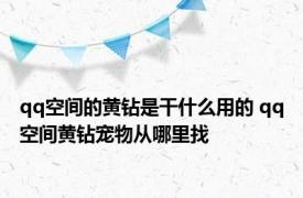 qq空间的黄钻是干什么用的 qq空间黄钻宠物从哪里找