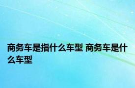 商务车是指什么车型 商务车是什么车型