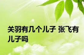 关羽有几个儿子 张飞有儿子吗