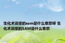 生化术语里的sam是什么意思呀 生化术语里的SAM是什么意思