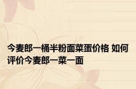 今麦郎一桶半粉面菜蛋价格 如何评价今麦郎一菜一面