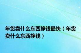 年货卖什么东西挣钱最快（年货卖什么东西挣钱）