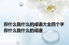 你什么我什么的成语大全四个字 你什么我什么的成语